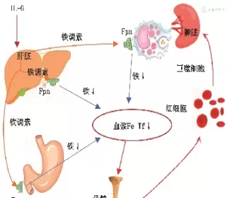 铁矿石期货2209实时行情走势(铁矿石期货实时行情走势)