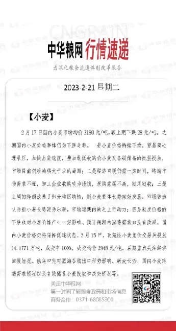 今日小麦期货价格行情大幅上涨(今日小麦期货走势图)