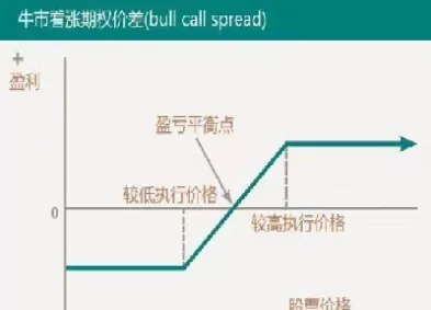 美式看涨期权价值范围(美式看涨期权的定义)