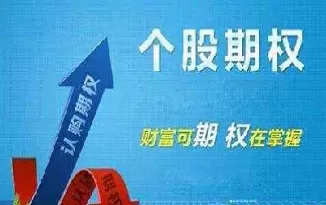 期权是所有人都有吗还是部分(期权是什么人都可以买入的吗)_https://www.dglong8.com_恒生指数_第1张
