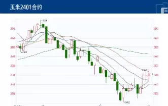 玉米2401期货(玉米期货2101分析)_期货品种_第1张_宇龙理财网 玉米2401期货(玉米期货2101分析)_https://www.dglong8.com_期货品种_第1张