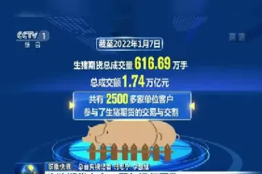 生猪2209期货(生猪2209期货行情走势)_期货交易所_第1张_宇龙理财网 生猪2209期货(生猪2209期货行情走势)_https://www.dglong8.com_期货交易所_第1张