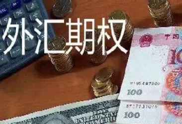 外汇期权买方需要交期权费吗(外汇期权是什么意思)_期货行情_第1张_宇龙理财网 外汇期权买方需要交期权费吗(外汇期权是什么意思)_https://www.dglong8.com_期货行情_第1张