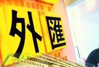 外汇管制的概念及目的是什么(外汇管制的概念及目的是什么意思)_https://www.dglong8.com_期货品种_第1张