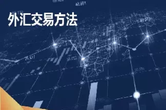 即期外汇交易步骤(外汇即期交易方式)_https://www.dglong8.com_原油期货_第1张
