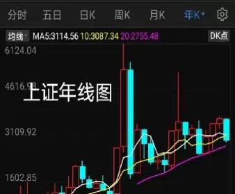 2007年上证指数(2007年上证指数是多少)_道指直播_第1张_宇龙理财网 2007年上证指数(2007年上证指数是多少)_https://www.dglong8.com_道指直播_第1张