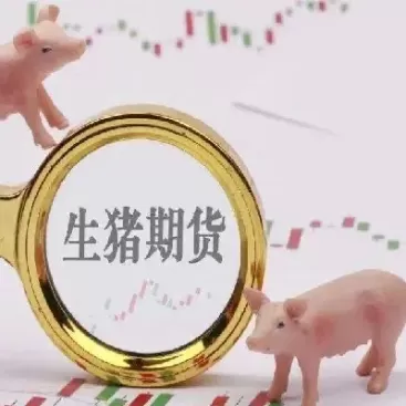 生猪期货交割地点(生猪期货交割是活猪吗)