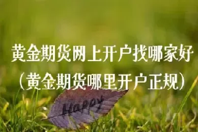 黄金期货行情在哪里查询(黄金期货实时行情在哪里看)
