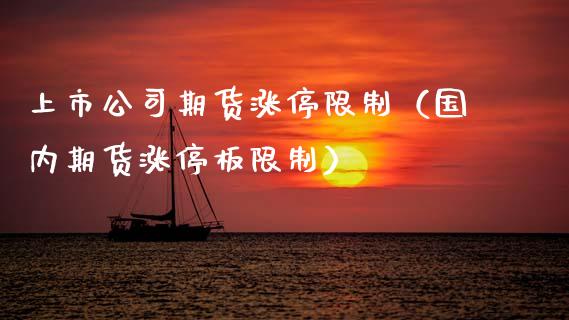 上市公司期货涨停限制（国内期货涨停板限制）