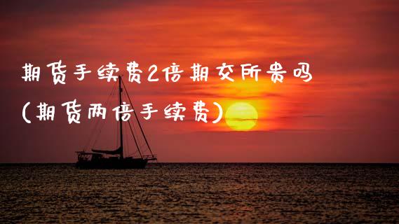 期货手续费2倍期交所贵吗(期货两倍手续费)