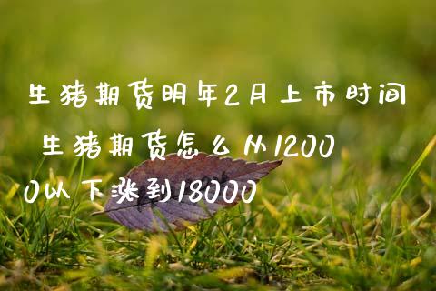 生猪期货明年2月上市时间 生猪期货怎么从12000以下涨到18000