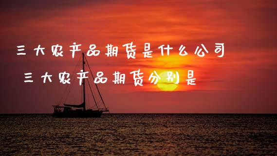 三大农产品期货是什么公司 三大农产品期货分别是_https://www.dglong8.com_期货理财_第1张
