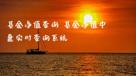 基金净值查询 基金净值中盘实时查询系统
