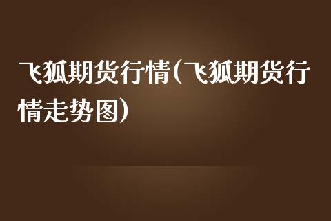 飞狐期货行情(飞狐期货行情走势图)