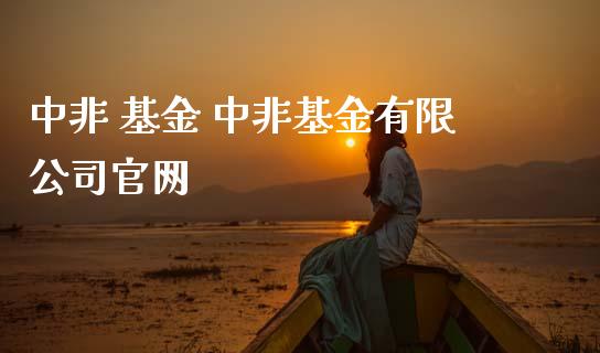 中非 基金 中非基金有限公司