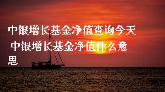 中银增长基金净值查询今天 中银增长基金净值什么意思