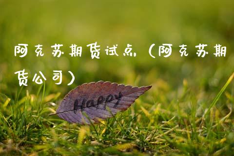 阿克苏期货试点（阿克苏期货公司）
