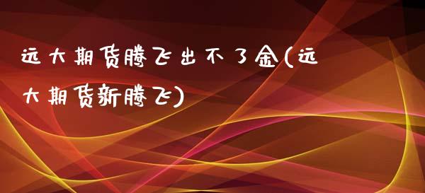 远大期货腾飞出不了金(远大期货新腾飞)