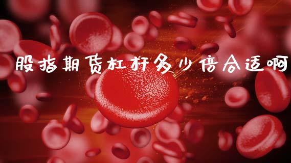 股指期货杠杆多少倍合适啊