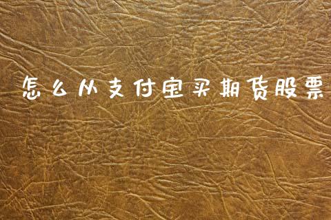 怎么从支付宝买期货股票