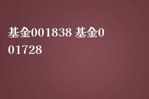 基金001838 基金001728
