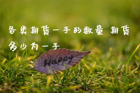各类期货一手的数量 期货多少为一手