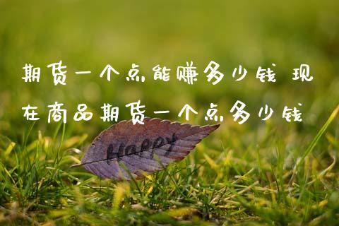 期货一个点能赚多少钱 现在商品期货一个点多少钱