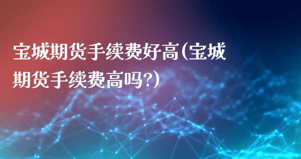 宝城期货手续费好高(宝城期货手续费高吗?)