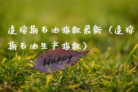 道琼斯石油指数最新（道琼斯石油生产指数）