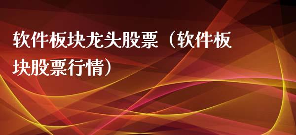 软件板块龙头股票（软件板块股票行情）