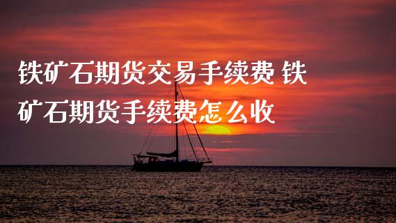 铁矿石期货交易手续费 铁矿石期货手续费怎么收_https://www.dglong8.com_期货理财_第1张