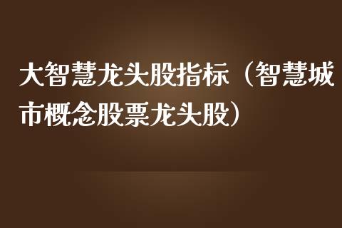 大智慧龙头股指标（智慧城市概念股票龙头股）