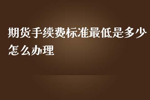 期货手续费标准最低是多少怎么办理
