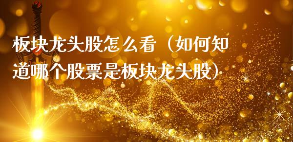 板块龙头股怎么看（如何知道哪个股票是板块龙头股）_https://www.dglong8.com_财经要闻_第1张