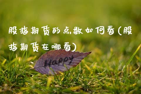 股指期货的点数如何看(股指期货在哪看)