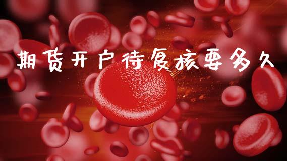 期货开户待复核要多久_https://www.dglong8.com_财经要闻_第1张