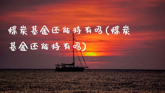 煤炭基金还能持有吗(煤炭基金还能持有吗)