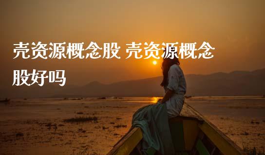壳资源概念股 壳资源概念股好吗