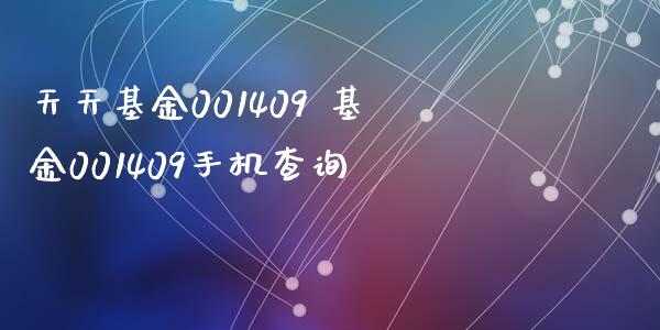 天天基金001409 基金001409手机查询