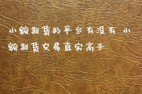 小额期货的平台有没有 小额期货交易真实高手