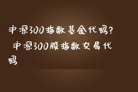 沪深300指数基金代码? 沪深300股指数交易代码