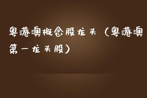 粤港澳概念股龙头（粤港澳第一龙头股）