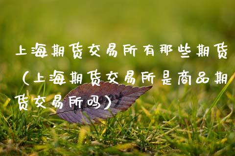 上海期货交易所有那些期货(上海期货交易所是商品期货交易所吗)_财经要闻_第1张_宇龙理财网 上海期货交易所有那些期货(上海期货交易所是商品期货交易所吗)_https://www.dglong8.com_财经要闻_第1张