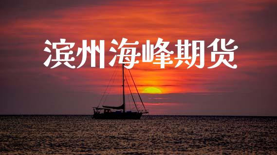 滨州海峰期货