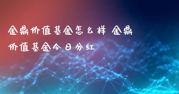 金鼎价值基金怎么样 金鼎价值基金今日分红_https://www.dglong8.com_基金理财_第1张