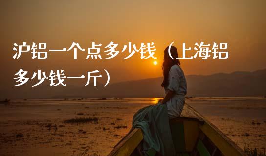 沪铝一个点多少钱（上海铝多少钱一斤）