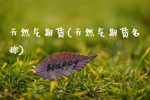 天然气期货(天然气期货名称)_期货理财_第1张_宇龙理财网 天然气期货(天然气期货名称)_https://www.dglong8.com_期货理财_第1张