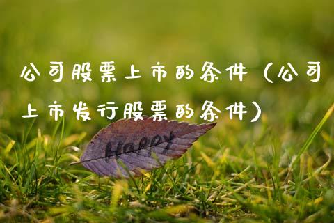公司股票上市的条件（公司上市发行股票的条件）