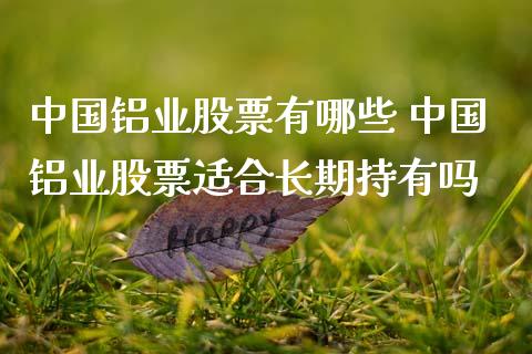 中国铝业股票有哪些 中国铝业股票适合长期持有吗_https://www.dglong8.com_股票理财_第1张
