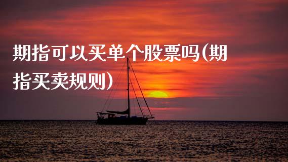 期指可以买单个股票吗(期指买卖规则)